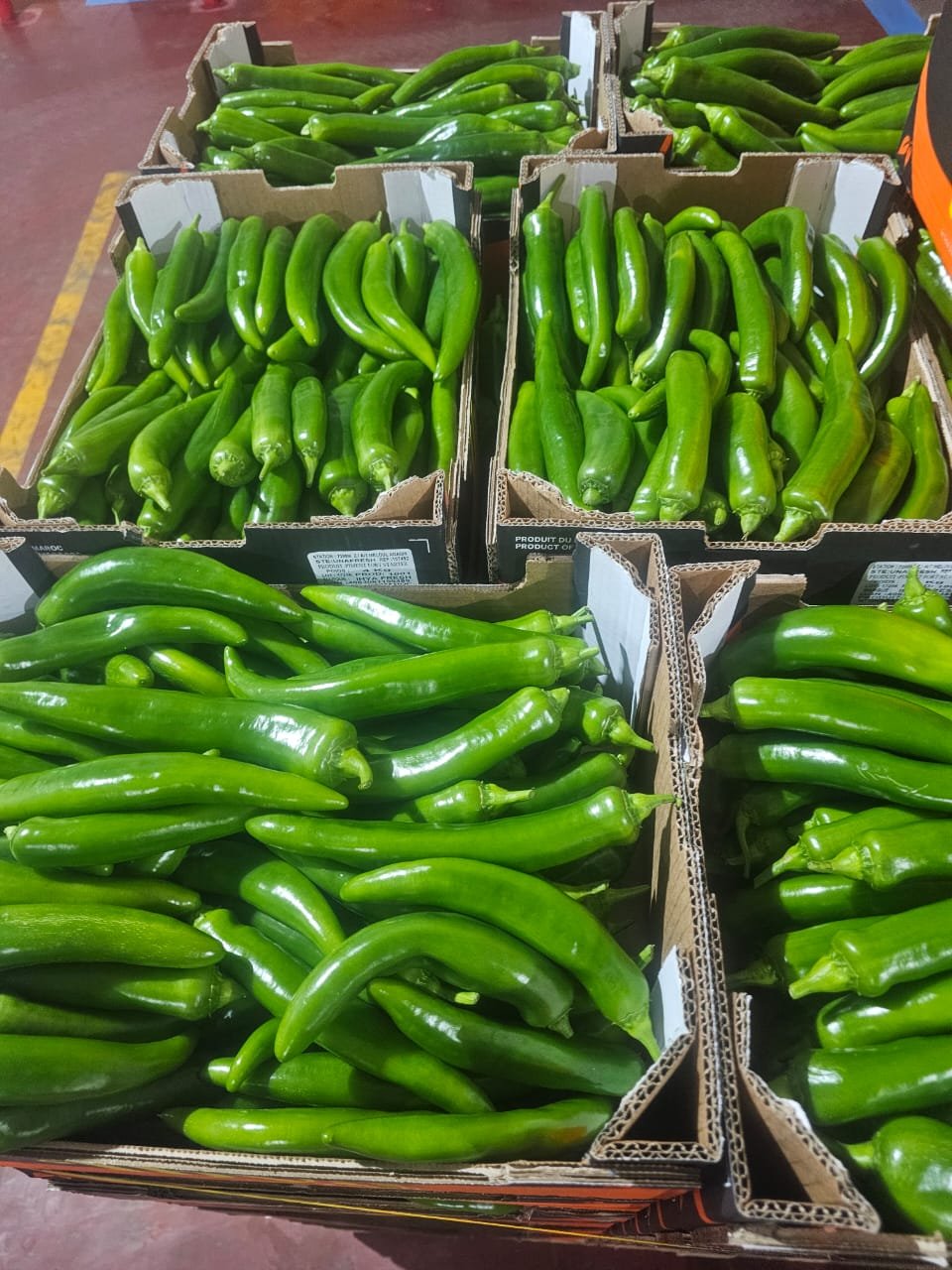 Cartons de piments verts sur palette en station