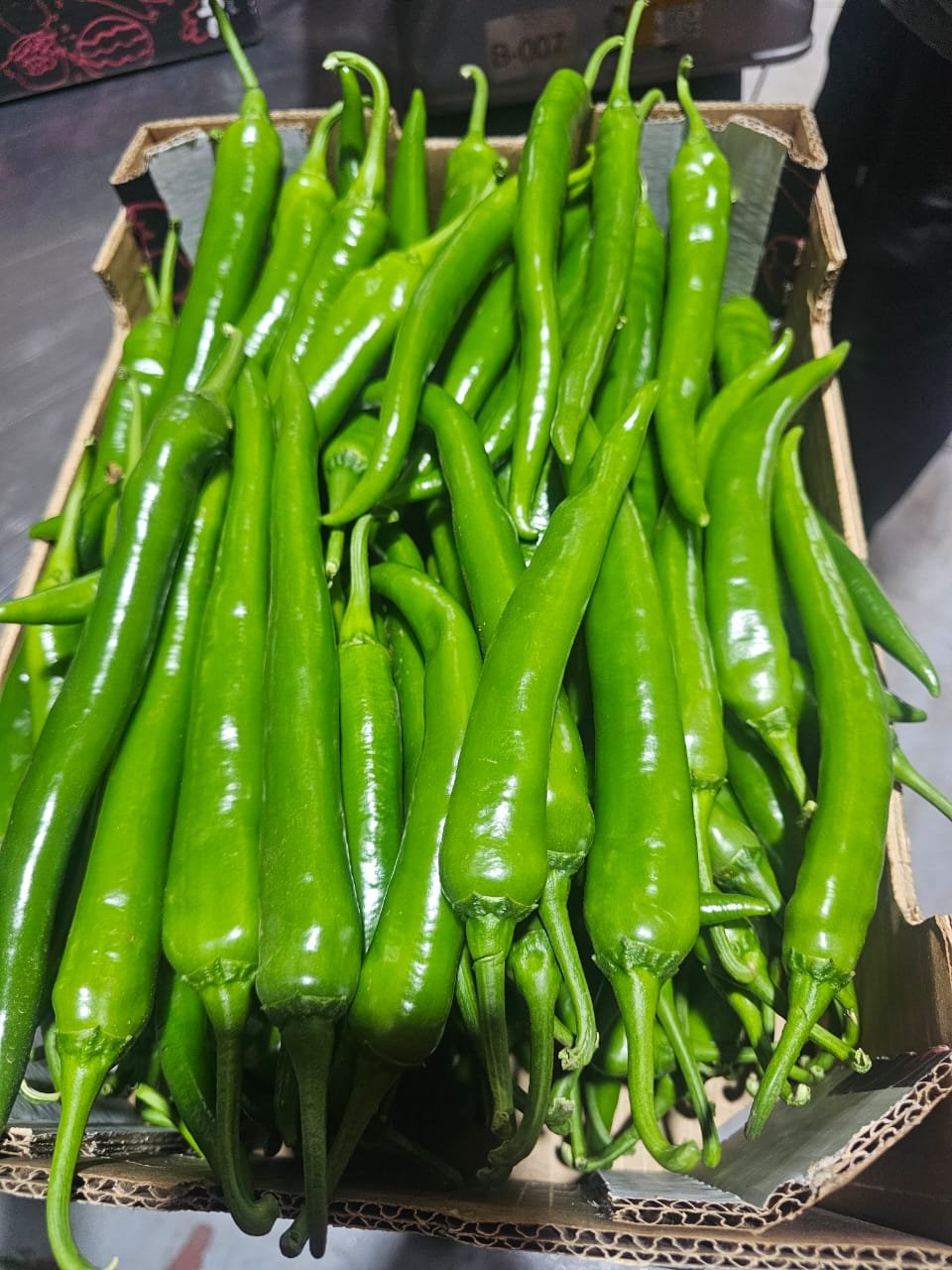 Piments verts longs en carton